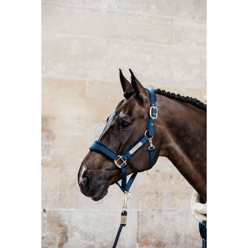 Kentucky Horsewear Cabestro Velvet Navy