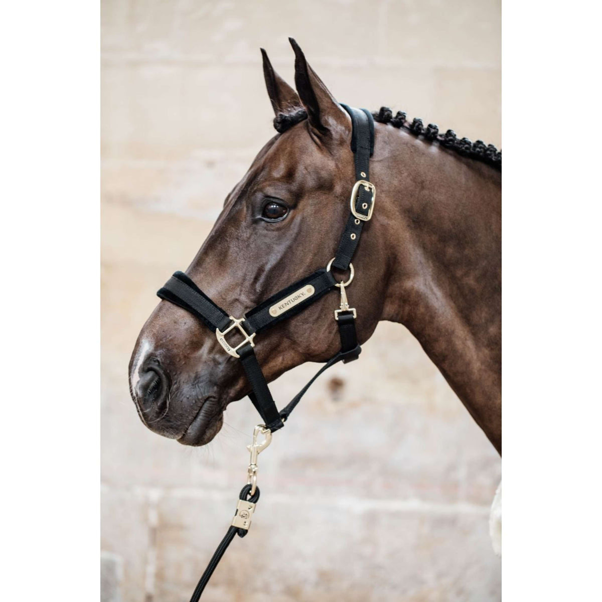 Kentucky Horsewear Cabezada Velvet Negro