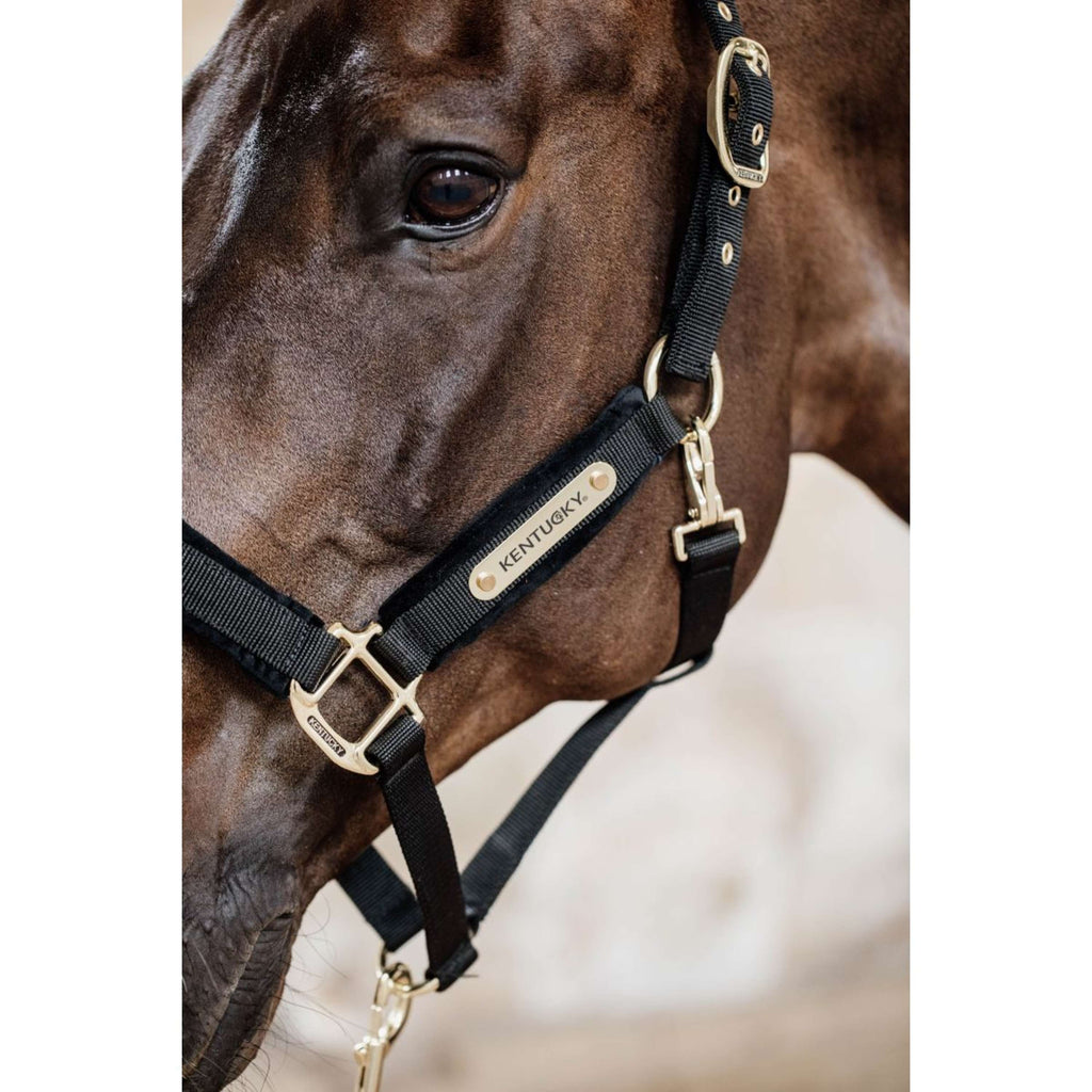 Kentucky Horsewear Cabestro Velvet Negro