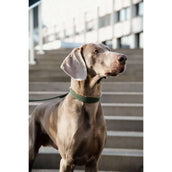 Kentucky Horsewear Halsband Perro Trenzado Nylon Verde Oliva