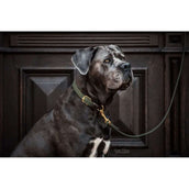 Kentucky Horsewear Halsband Perro Trenzado Nylon Verde Oliva