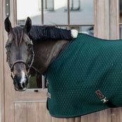 Kentucky Horsewear Manta Refrigerante 4D Espaciador Pine Green