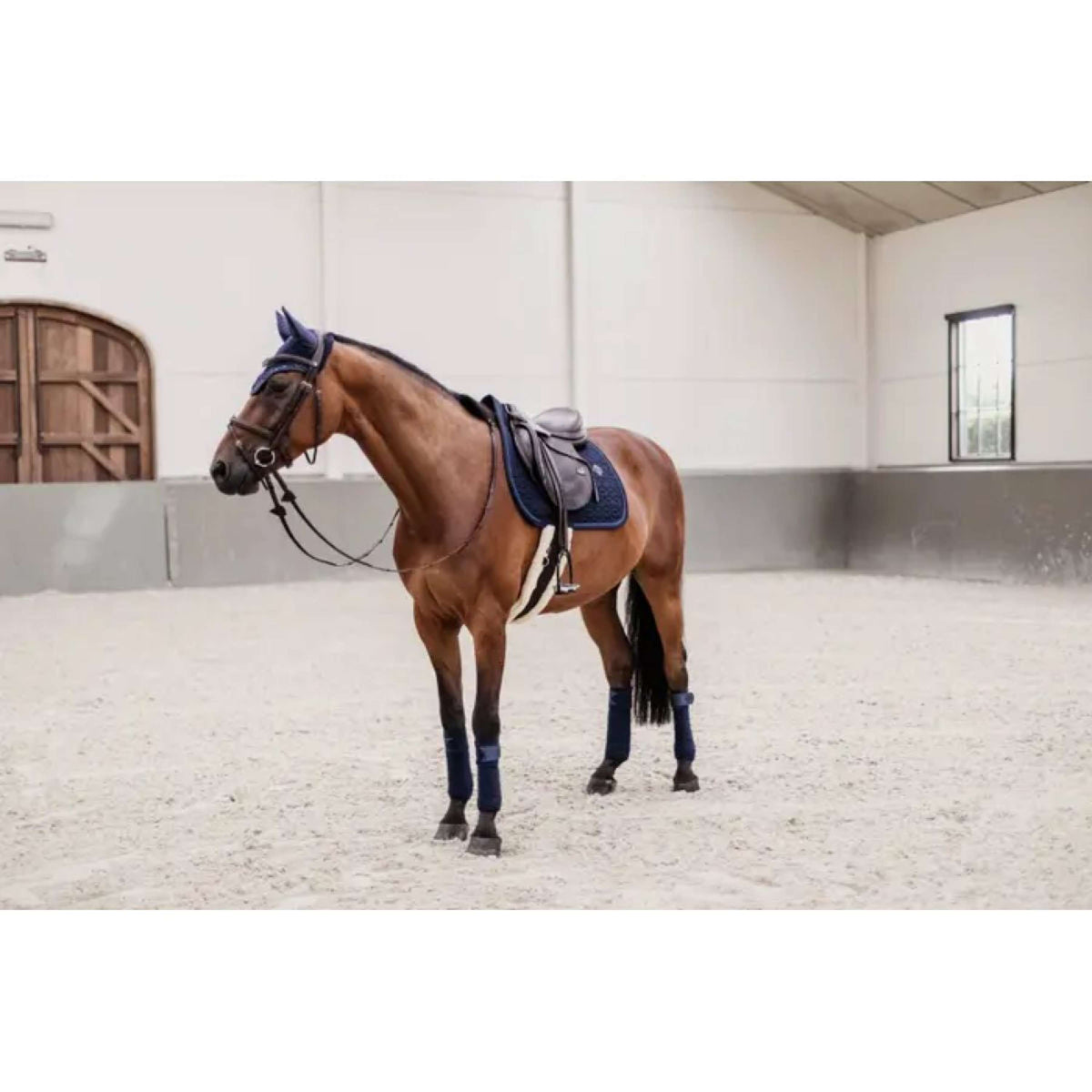 Kentucky Horsewear Mantilla Saltar la cuerda con purpurina Navy