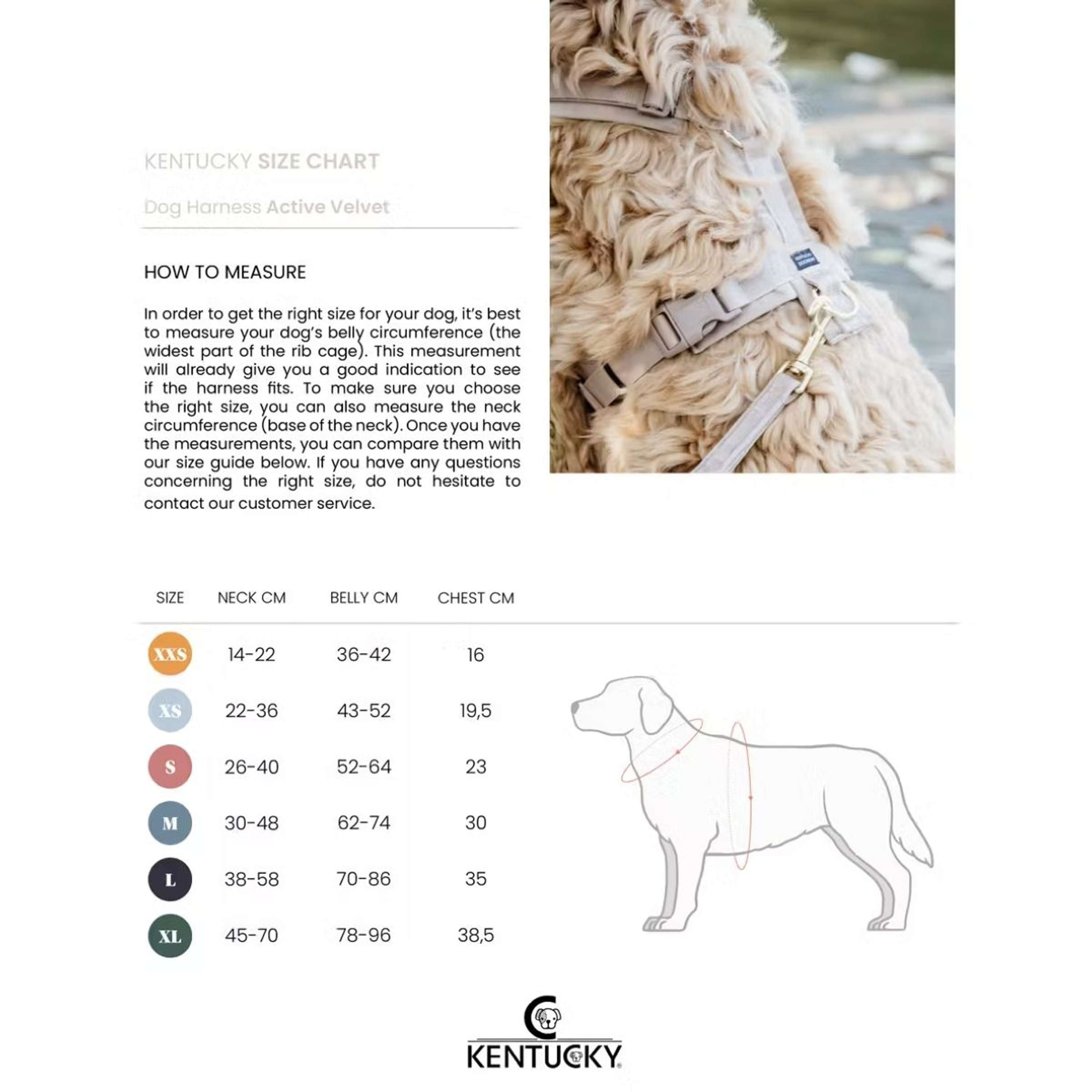 Kentucky Dogwear Arnés Active Velvet Bordeaux
