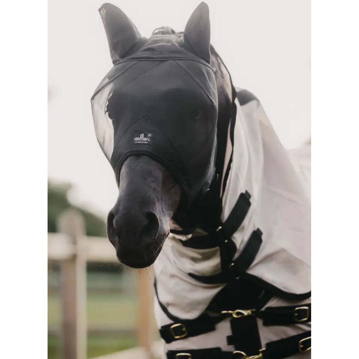 Kentucky Horsewear Máscara para Moscas Classic con Orejas y Nariz Negro