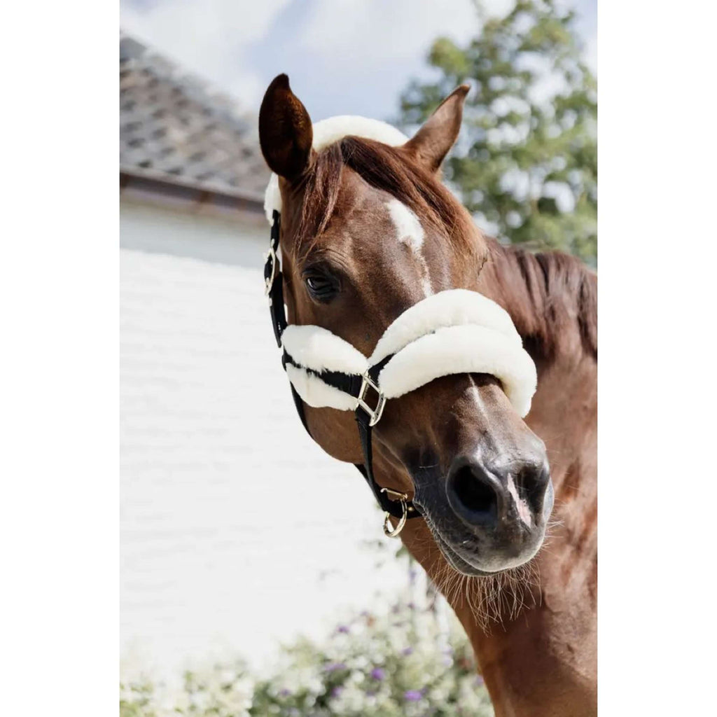 Kentucky Horsewear Cabestro Nylon Lana Suave Natural