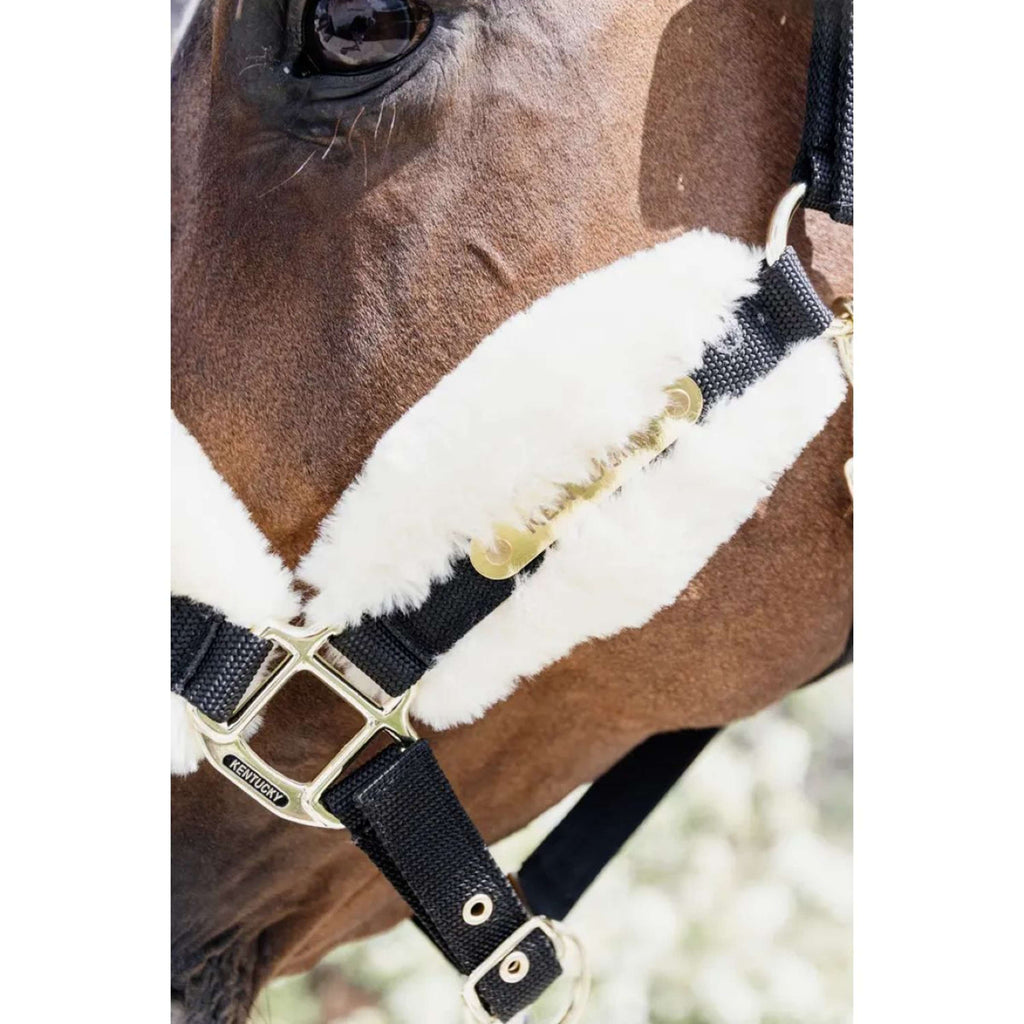Kentucky Horsewear Cabestro Nylon Lana Suave Natural