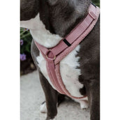 Kentucky Dogwear Arnés Teddy Fleece Rosa Viejo