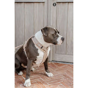 Kentucky Dogwear Arnés Teddy Fleece Beige