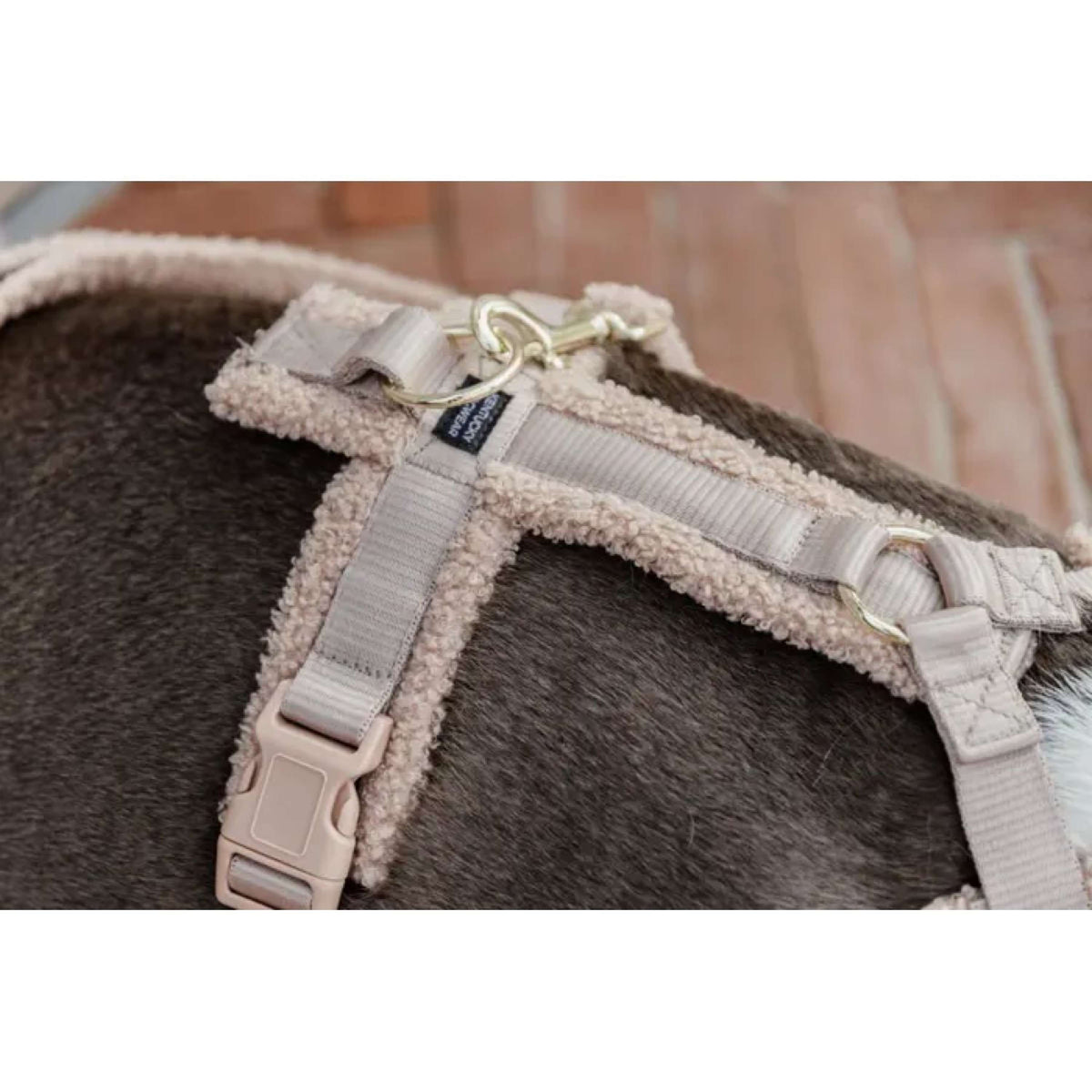 Kentucky Dogwear Arnés Teddy Fleece Beige