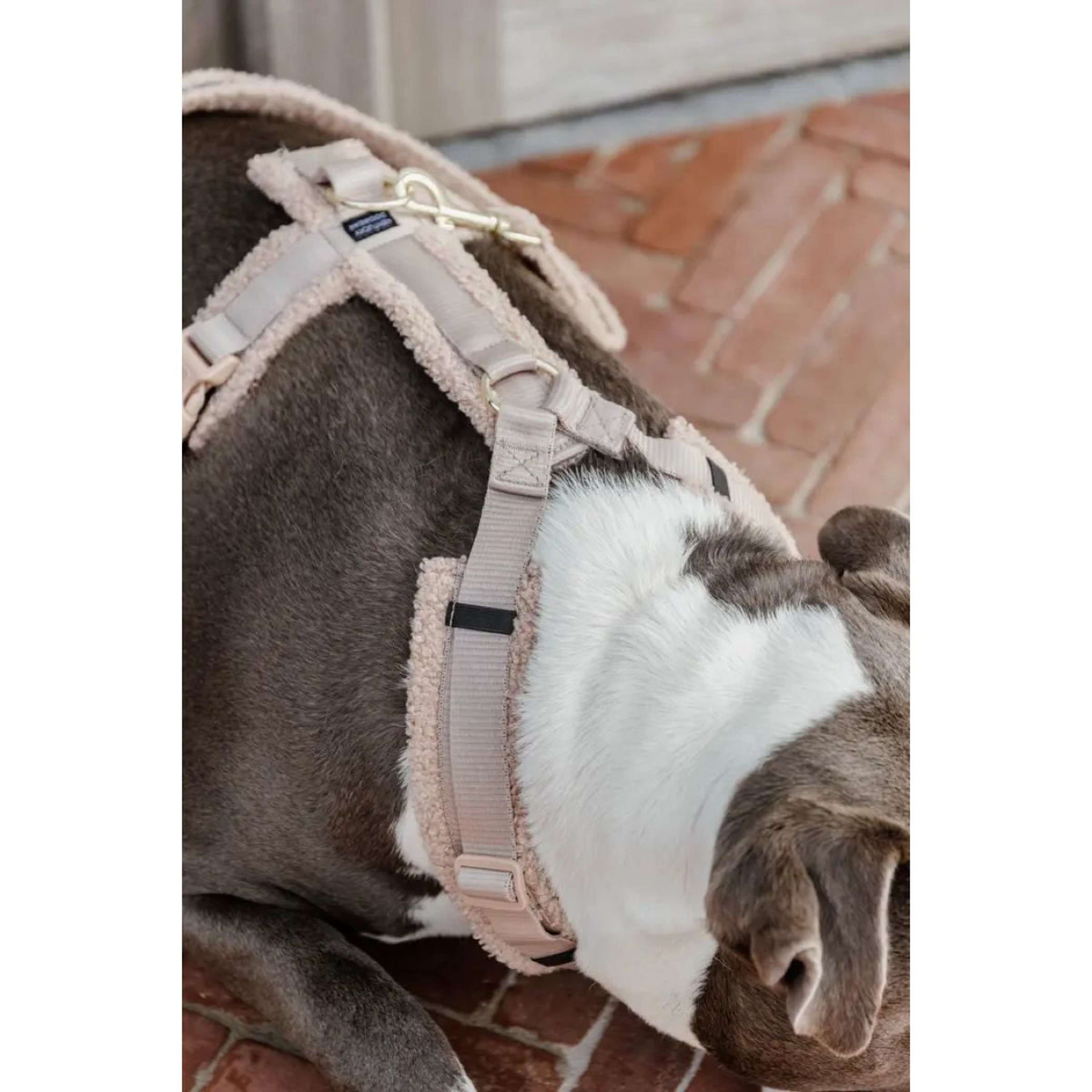 Kentucky Dogwear Arnés Teddy Fleece Beige