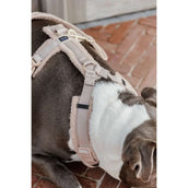 Kentucky Dogwear Arnés Teddy Fleece Beige