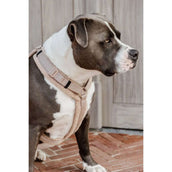 Kentucky Dogwear Arnés Teddy Fleece Beige