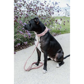 Kentucky Dogwear Correa para Perro Teddy Fleece Rosa Viejo