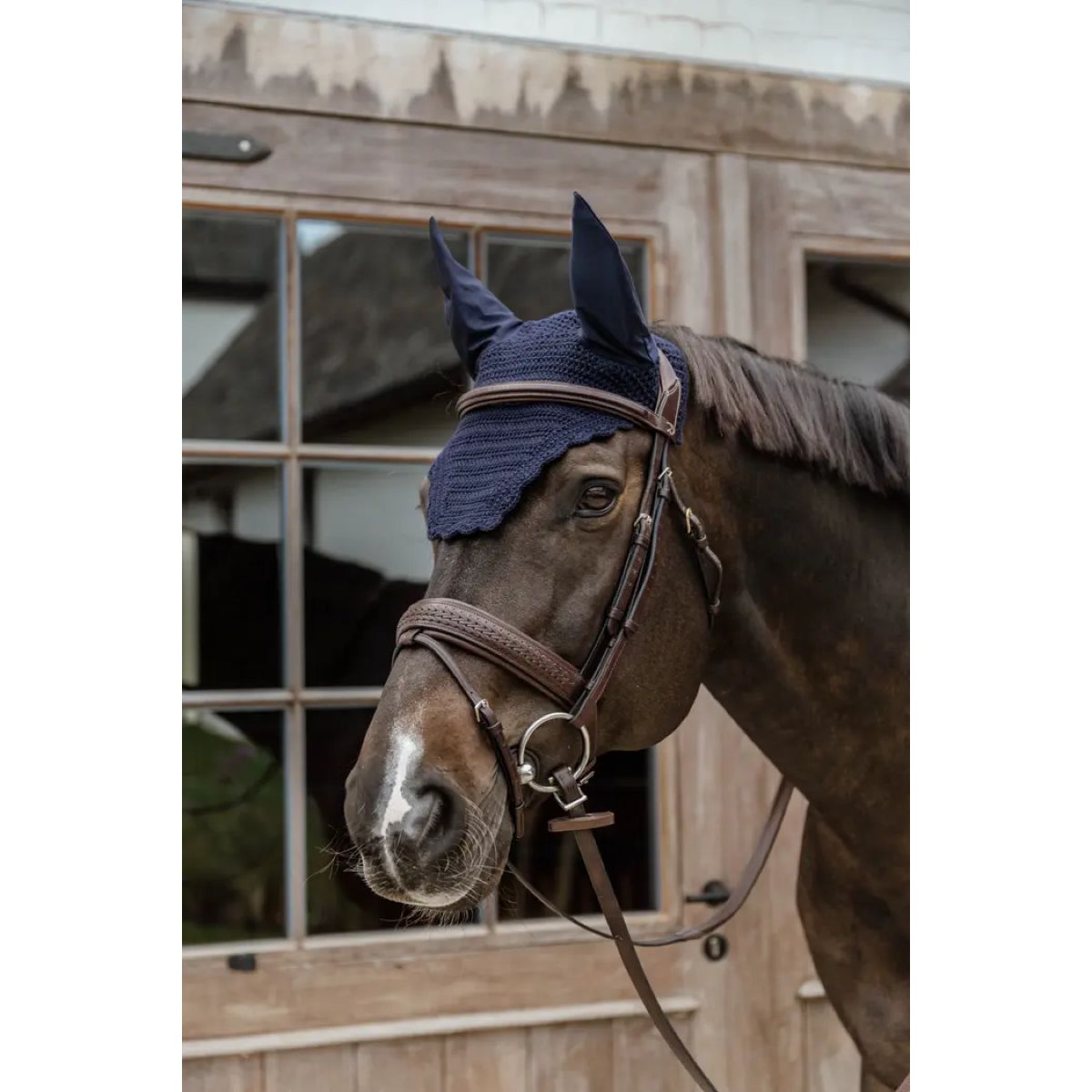 Kentucky Horsewear Bonete para Orejas Wellington Wave Azul Marino Oscuro