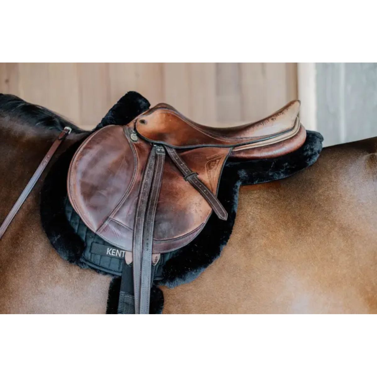 Kentucky Horsewear Mantilla de Salto Hunter Lana Negro