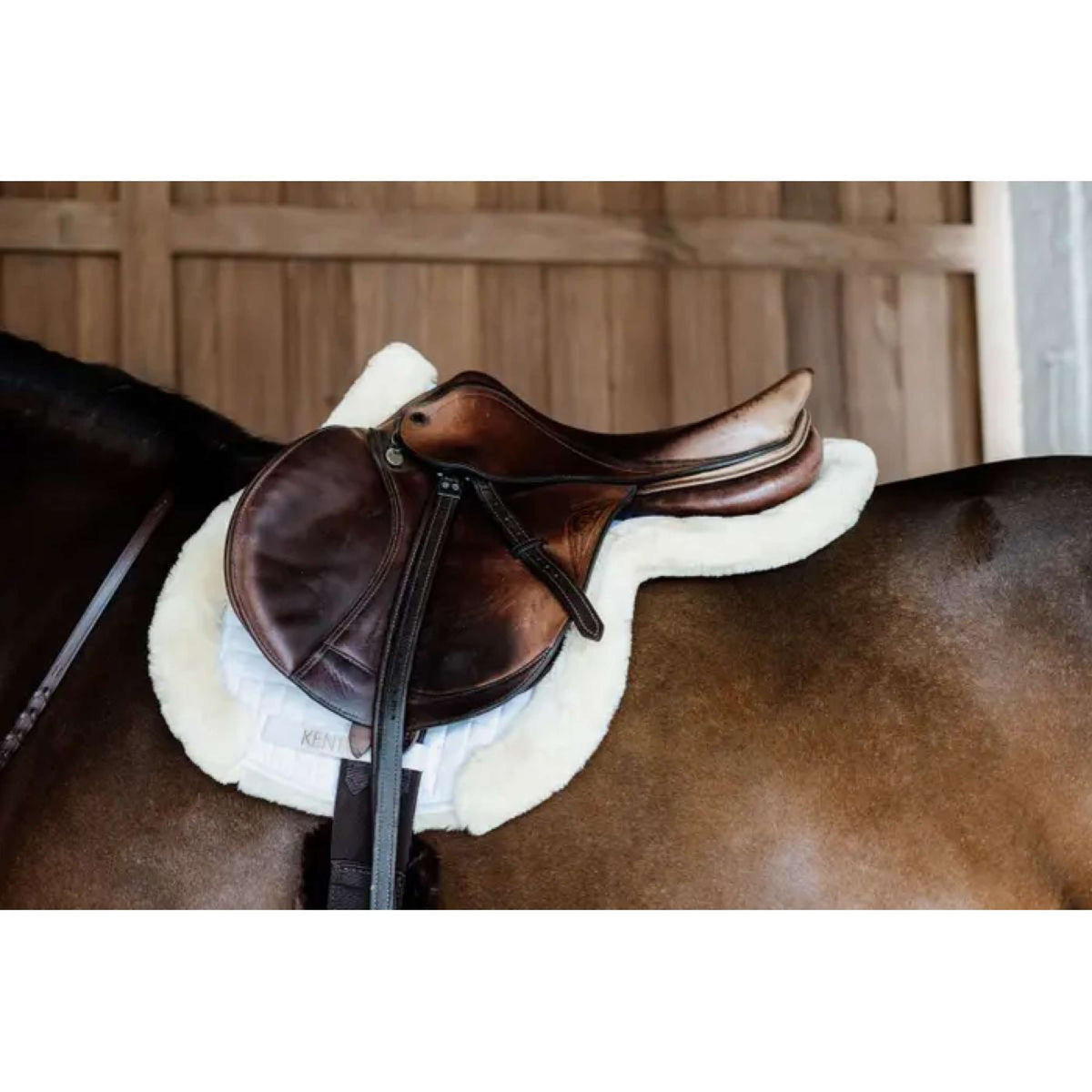 Kentucky Horsewear Mantilla de Salto Hunter Español (ES): Lana Natural