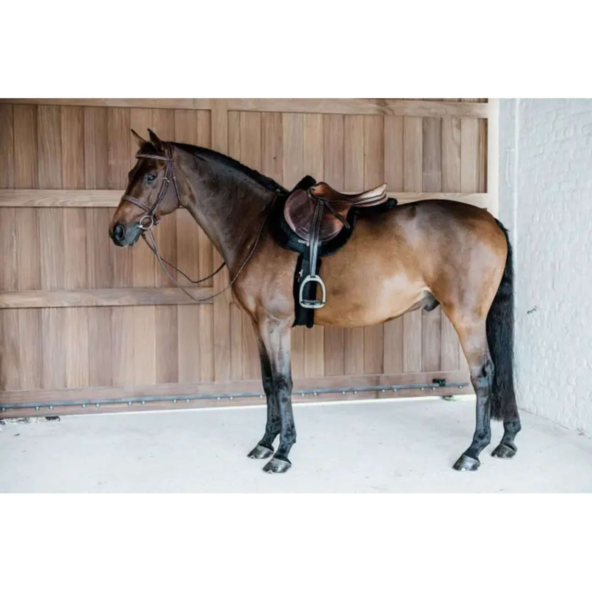 Kentucky Horsewear Mantilla de Salto Hunter Lana Negro