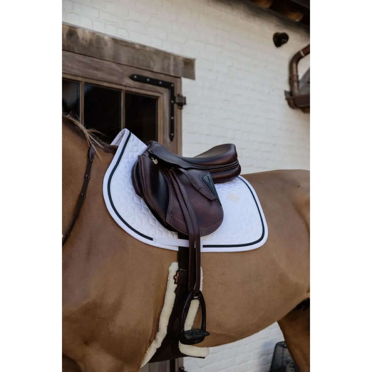 Kentucky Horsewear Mantilla Glitter Rope Springen Blanco/Negro