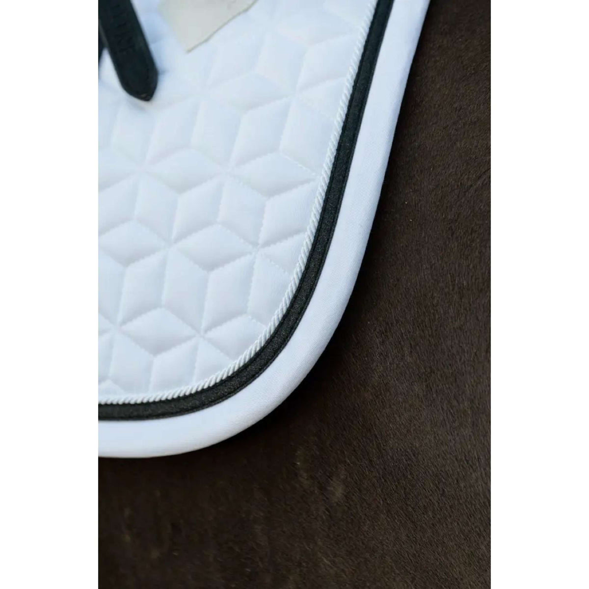 Kentucky Horsewear Mantilla Glitter Rope Doma Blanco/Negro