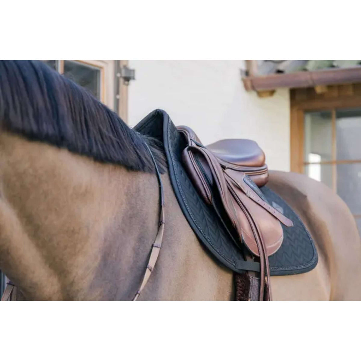 Kentucky Horsewear Mantilla Metal Chain Springen Negro