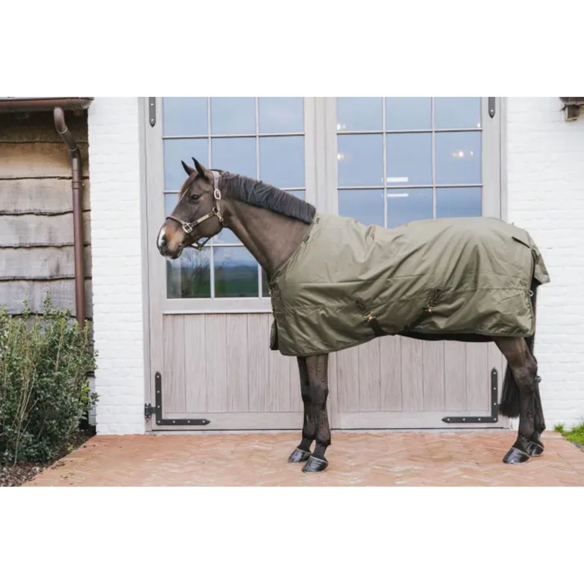 Kentucky Horsewear Turnout All Weather 160g Kaki