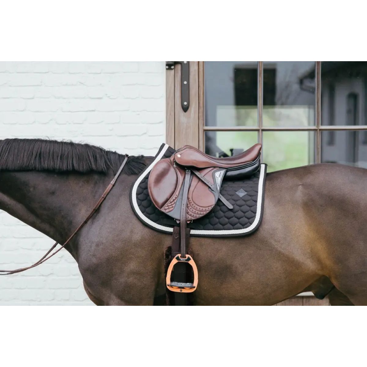 Kentucky Horsewear Mantilla Plaited Springen Negro