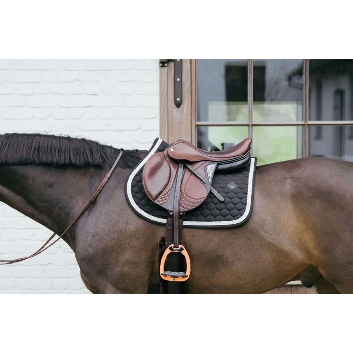 Kentucky Horsewear Mantilla Plaited Springen Negro
