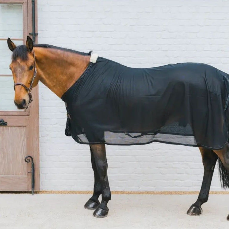 Kentucky Manta Antimoscas Mesh Negro