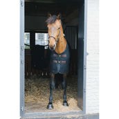 Kentucky Manta Antimoscas Mesh Negro