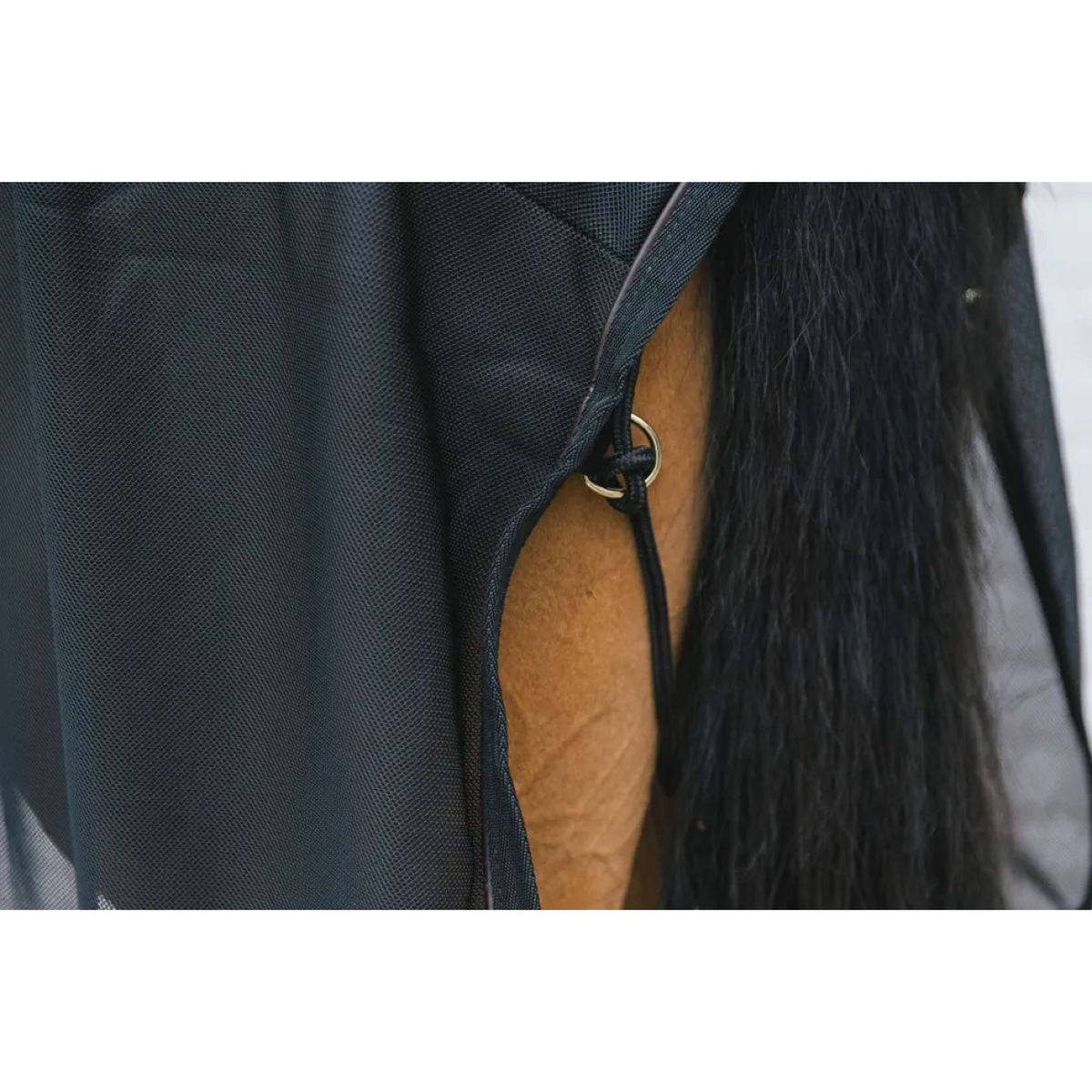 Kentucky Manta Antimoscas Mesh Negro