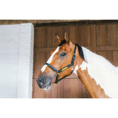 Kentucky Horsewear Cabezada de Cuero Wellington Negro