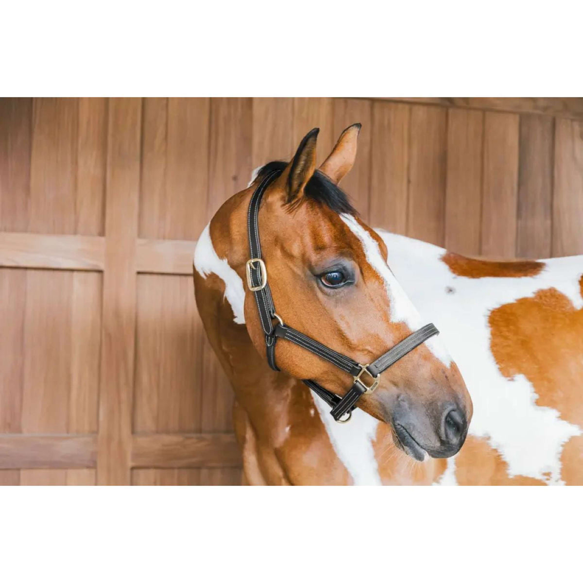 Kentucky Horsewear Cabezada de Cuero Wellington Negro