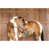 Kentucky Horsewear Cabezada de Cuero Wellington Marron