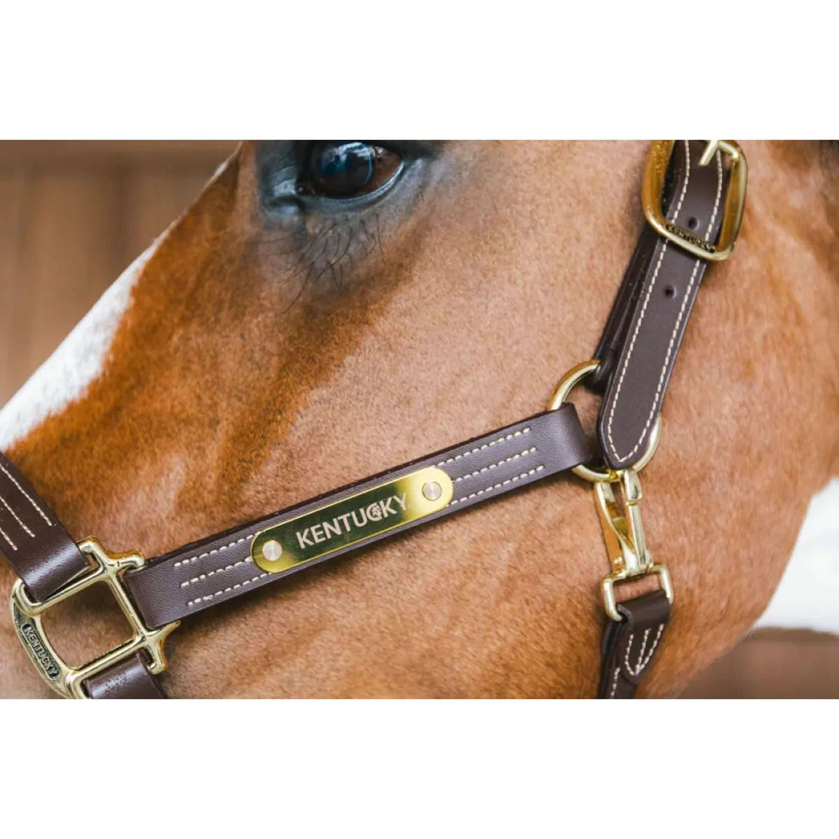 Kentucky Horsewear Cabezada de Cuero Wellington Marron