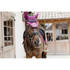 Kentucky Horsewear Bonete para Orejas Wellington 3D Logo Morado