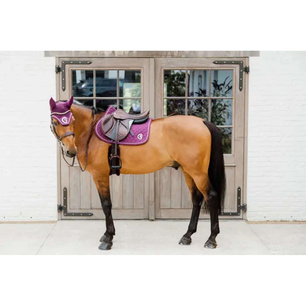 Kentucky Horsewear Bonete para Orejas Wellington 3D Logo Morado