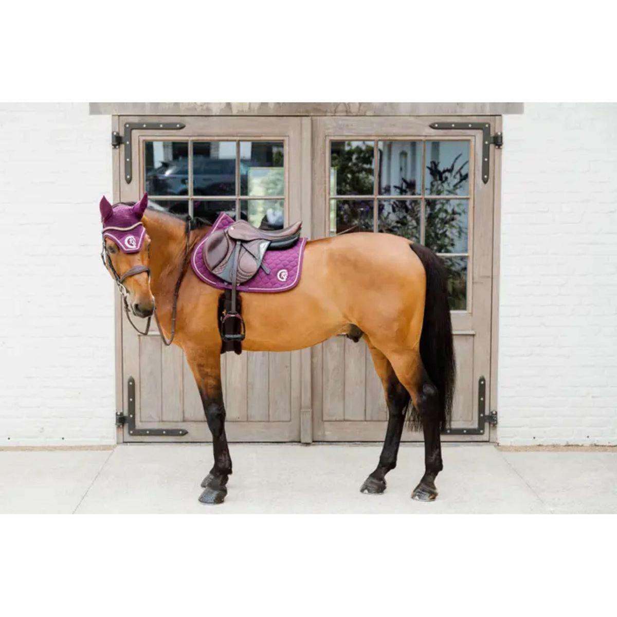 Kentucky Horsewear Mantilla Onion Quilt 3D Logo Springen Morado