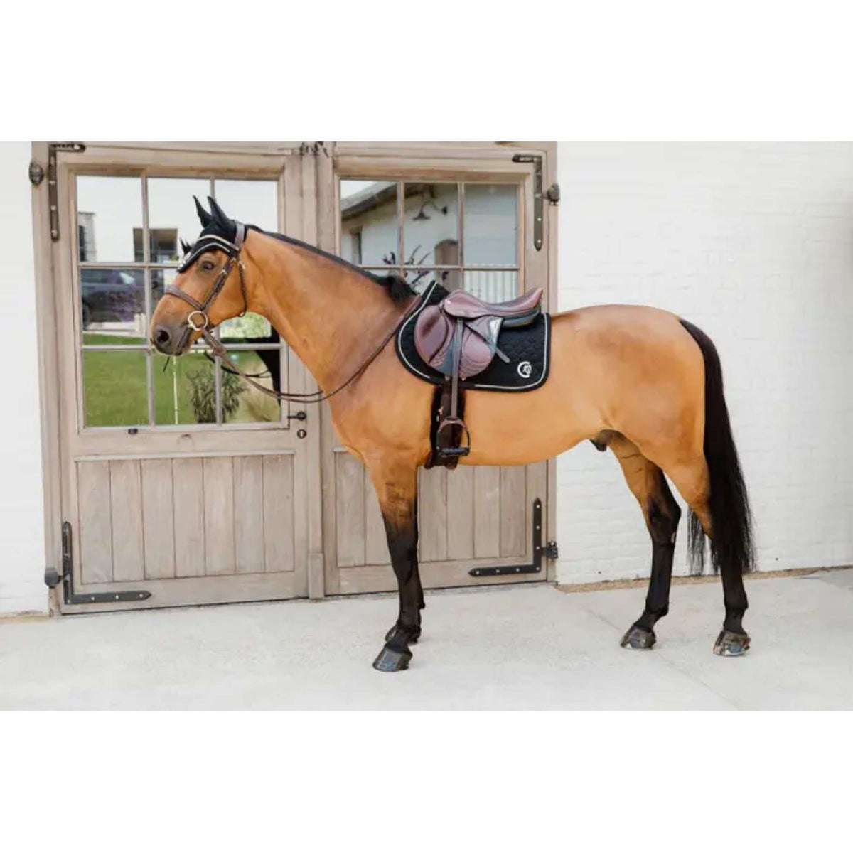 Kentucky Horsewear Mantilla Onion Quilt 3D Logo Springen Negro