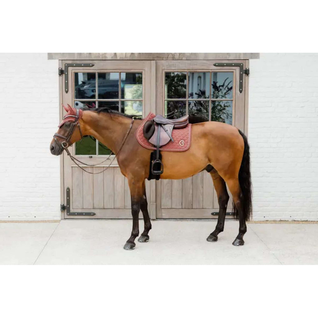 Kentucky Horsewear Bonete para Orejas Wellington 3D Logo Fucsia