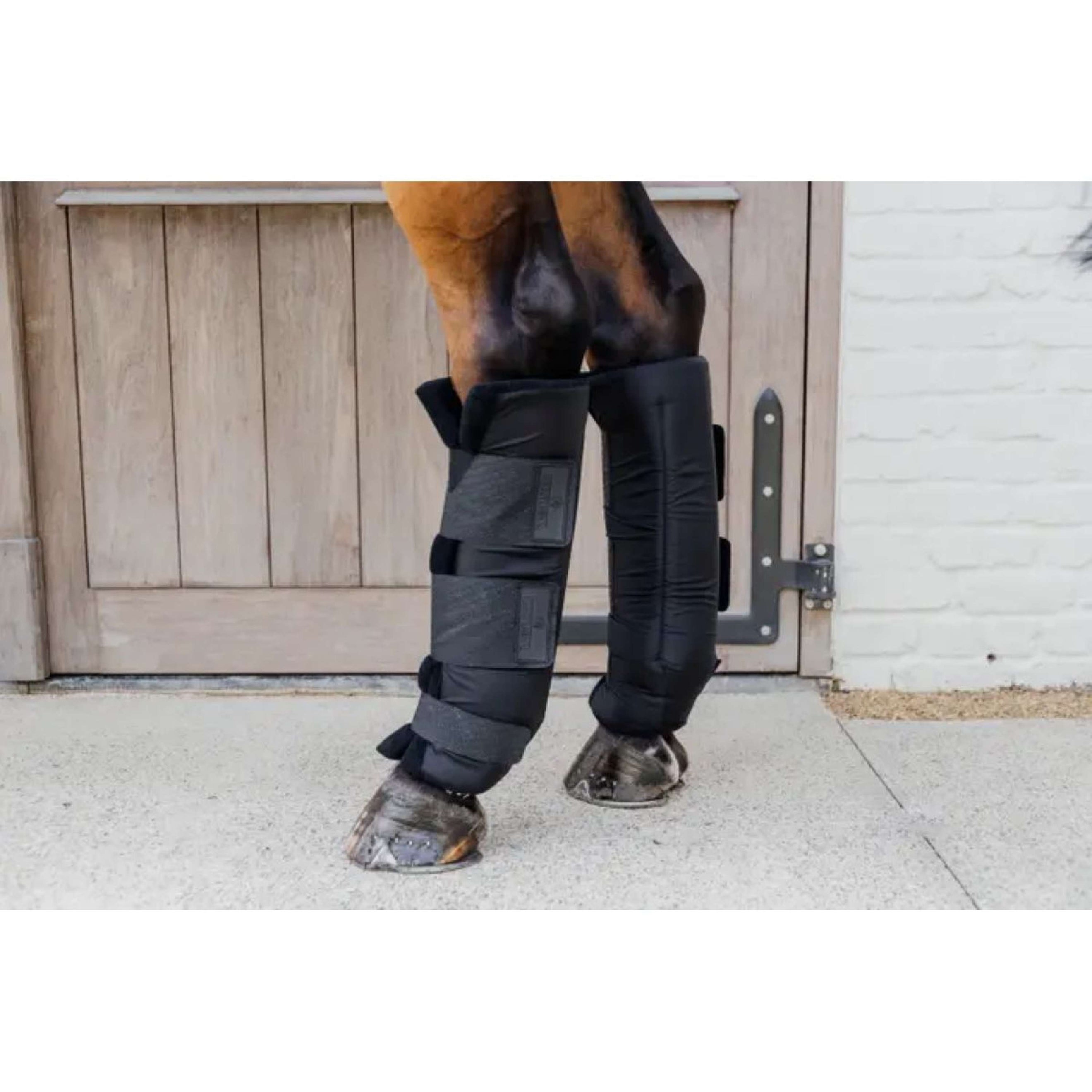 Kentucky Horsewear Protector de establo PROtect Classic Español: Atrás Negro
