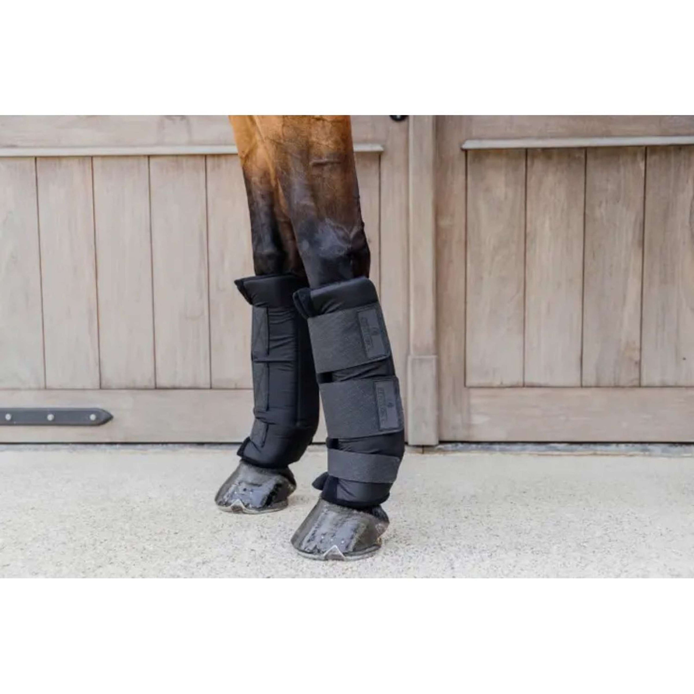 Kentucky Horsewear Protector de establo PROtect Classic Para Negro
