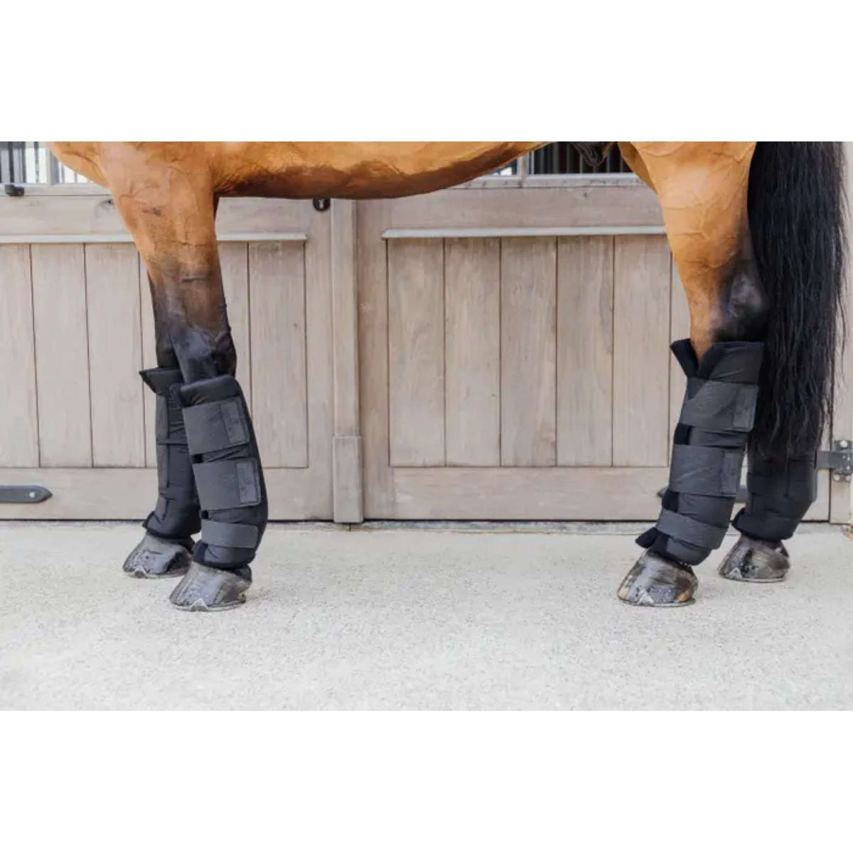 Kentucky Horsewear Protector de establo PROtect Classic Español: Atrás Negro