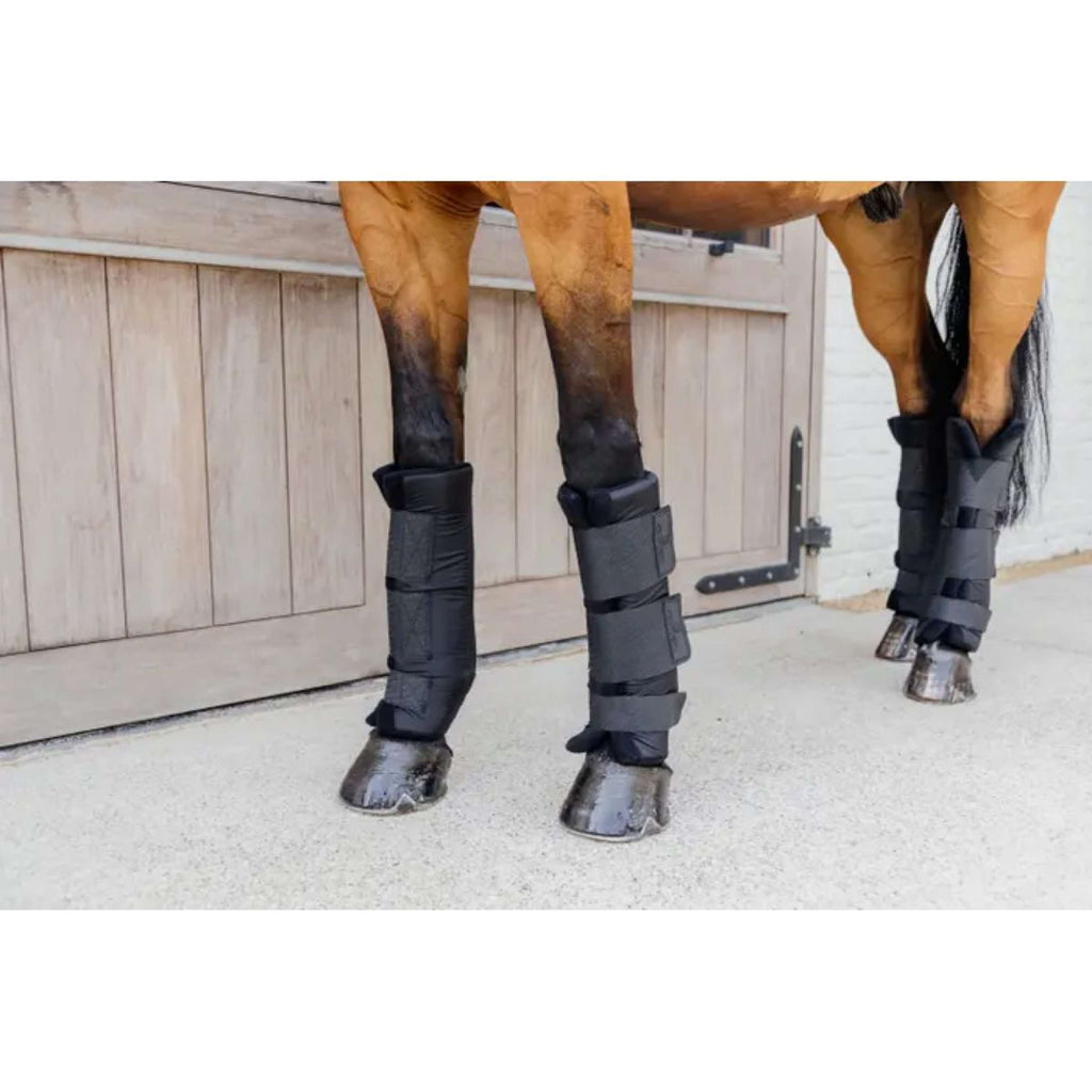 Kentucky Horsewear Protector de establo PROtect Classic Para Negro