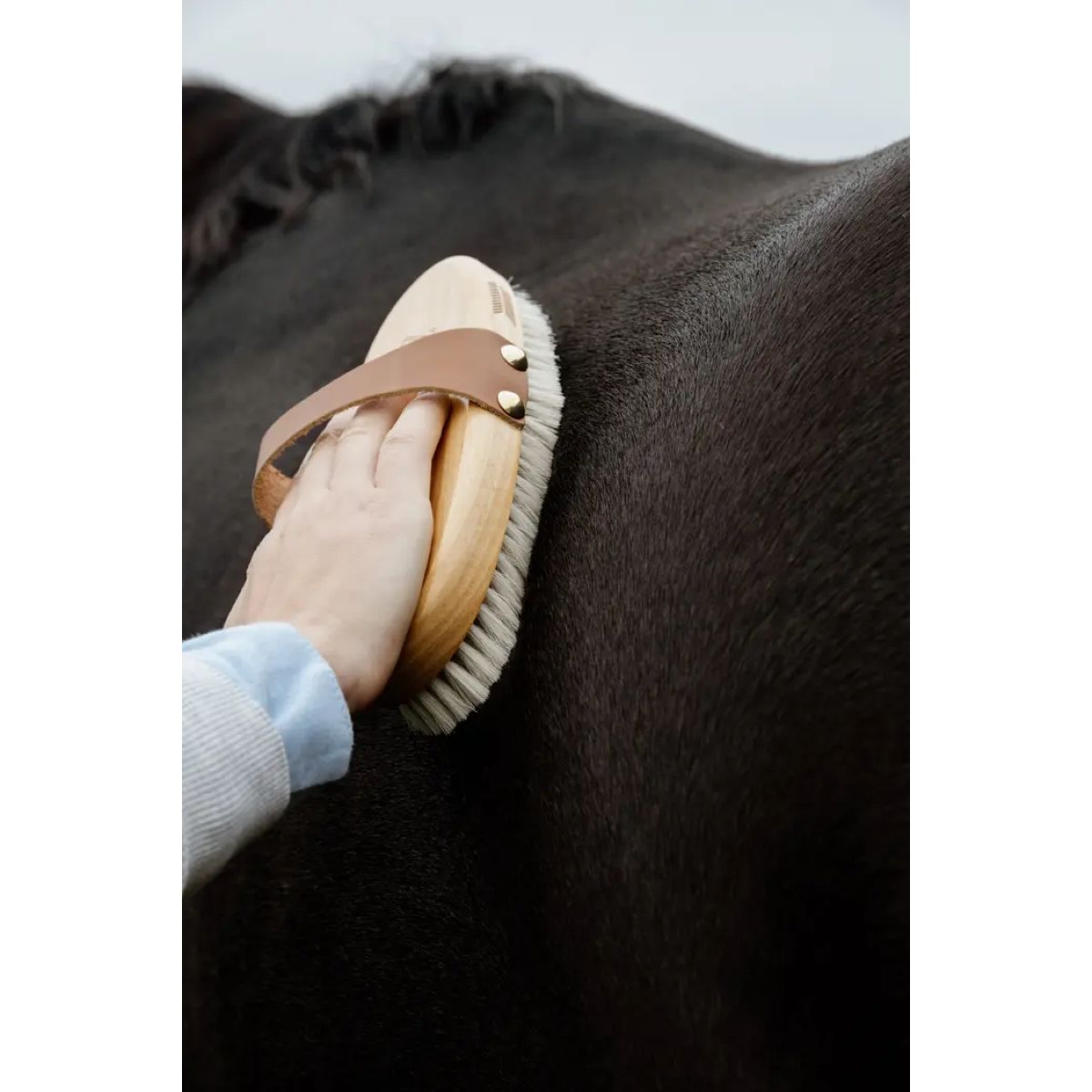 Kentucky Horsewear Cepillo Soft Shine