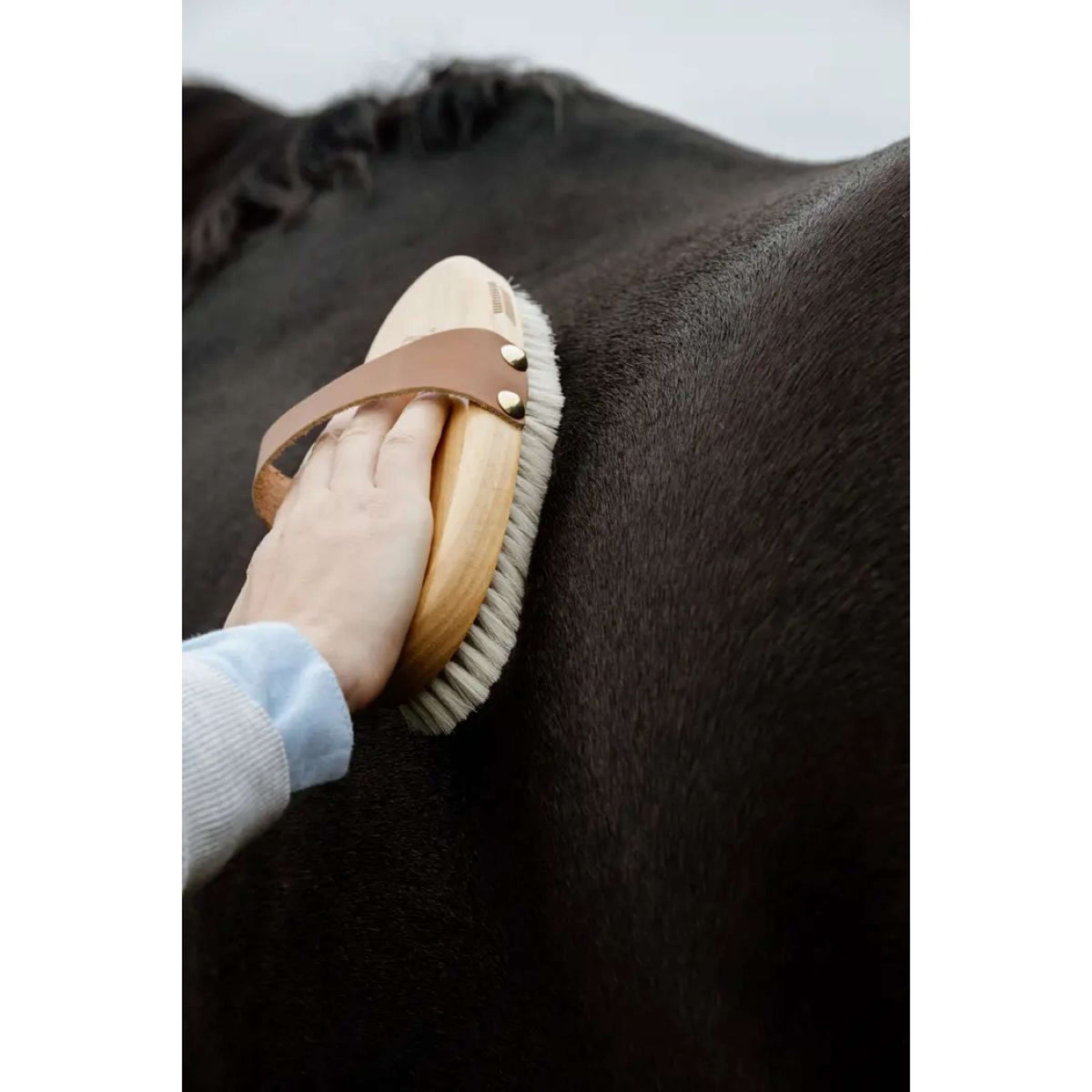 Kentucky Horsewear Cepillo Soft Shine