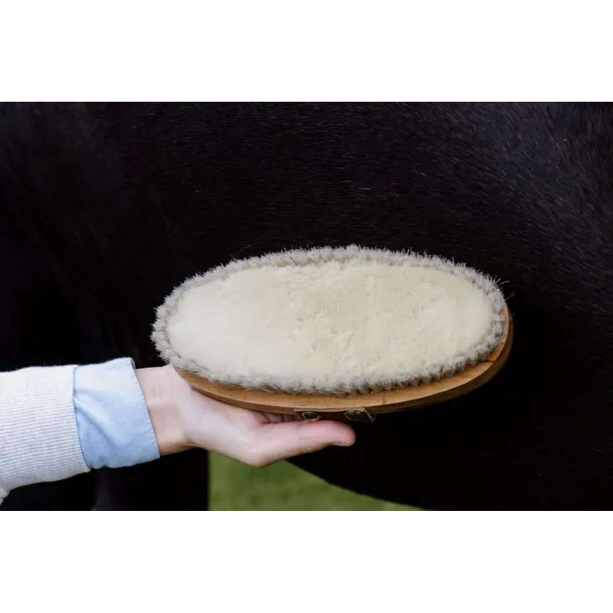 Kentucky Horsewear Cepillo Soft Shine