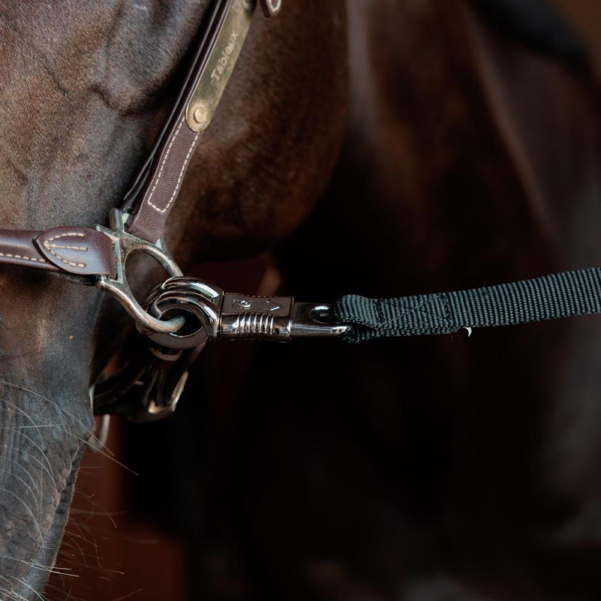 Kentucky Cuerda de amarre Safety Negro