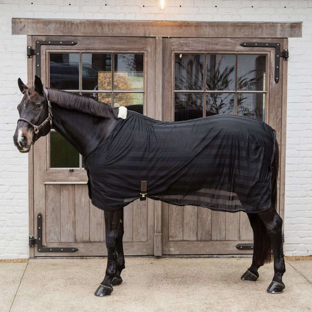 Kentucky Horsewear Manta Antimoscas Light Striped Mesh Negro