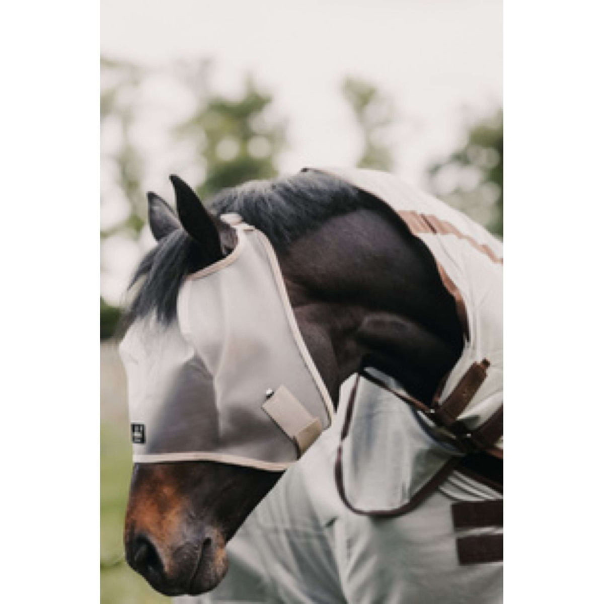 Kentucky Horsewear Máscara para Moscas Classic Beige